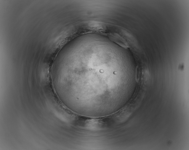 X0000116640320200912291600