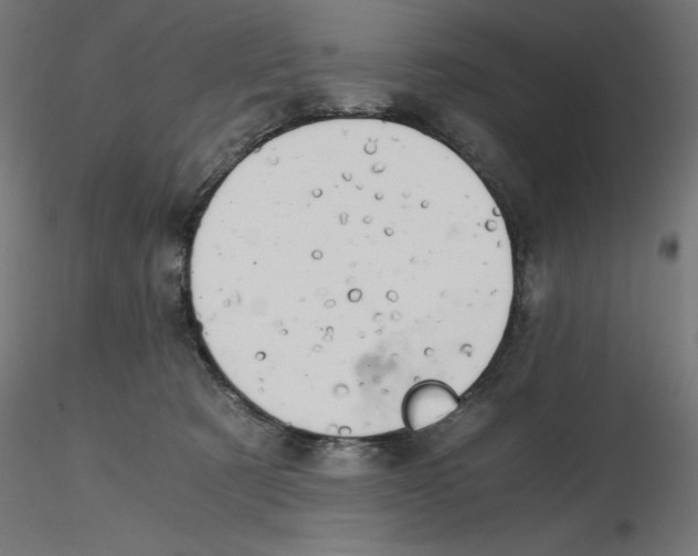 X0000116640321200912291600