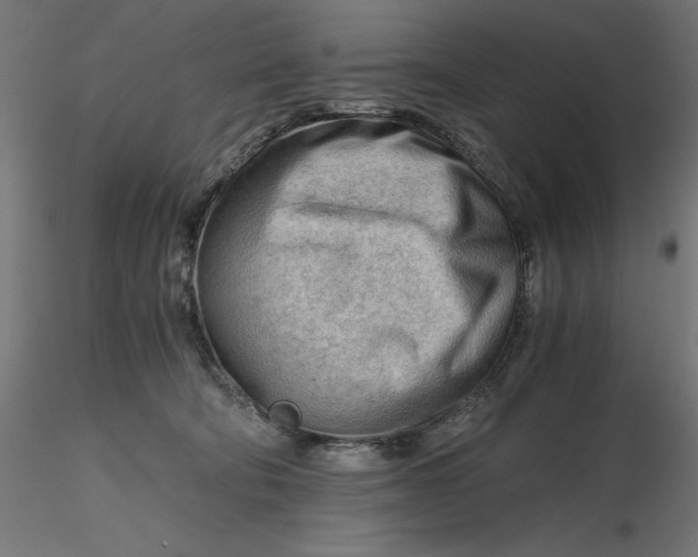 X0000116640322200912291600