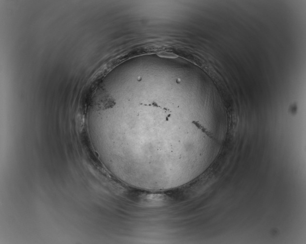 X0000116640324200912291600