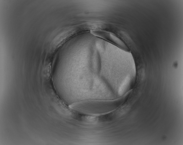 X0000116640325200912291600