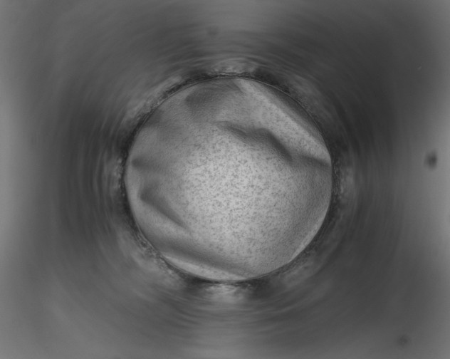 X0000116640326200912291600