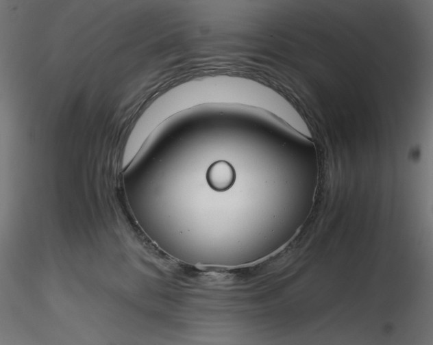 X0000116640328200912291600