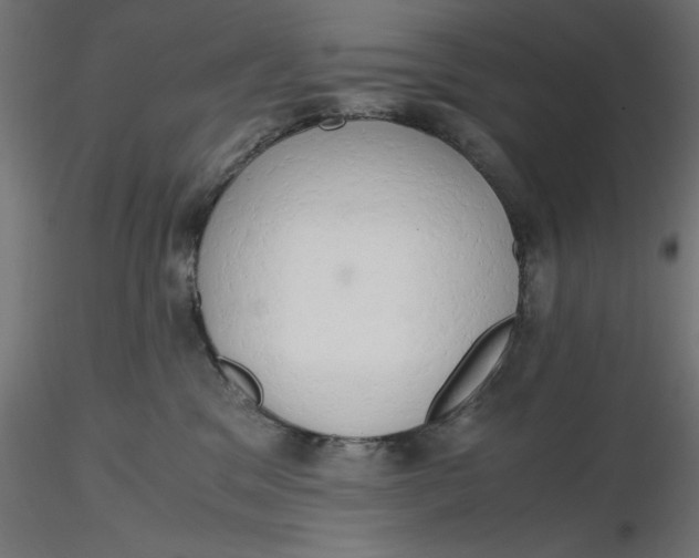 X0000116640329200912291600