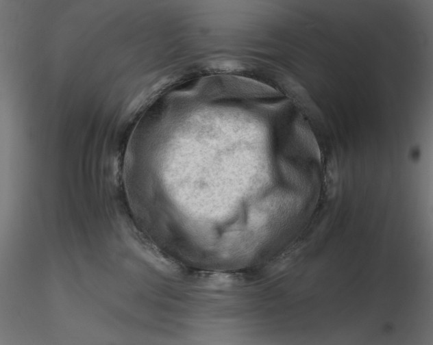 X0000116640330200912291600