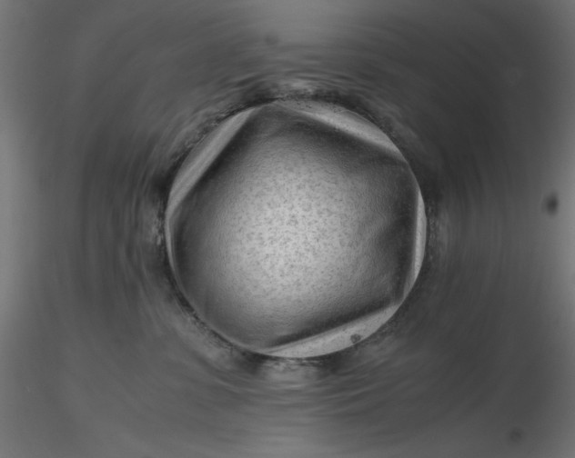 X0000116640331200912291600