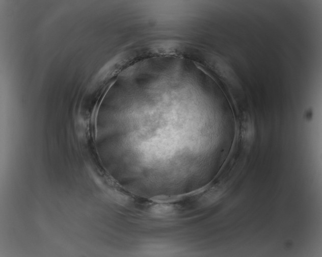 X0000116640332200912291600