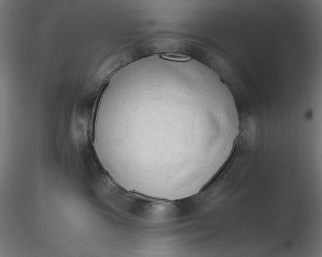 X0000116640333200912291600