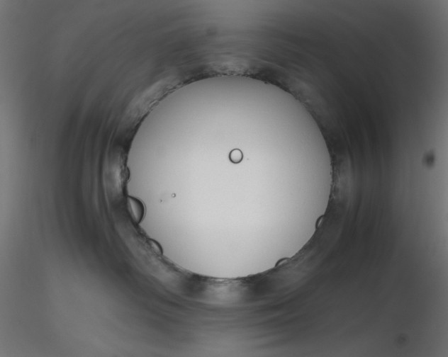 X0000116640334200912291600