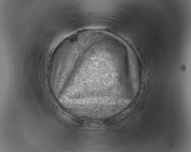 X0000116640337200912291600