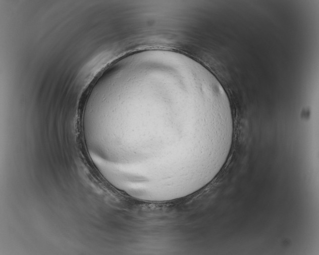 X0000116640338200912291600