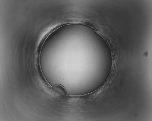 X0000116640342200912291600