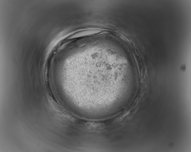 X0000116640343200912291600