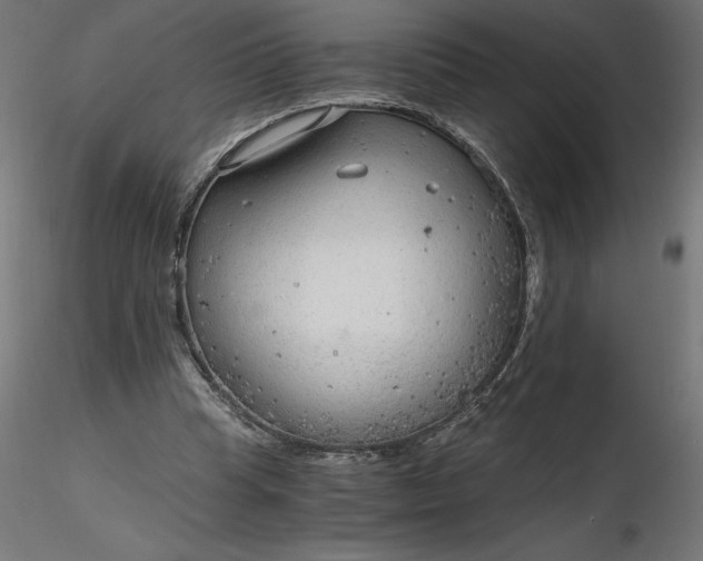 X0000116640345200912291600