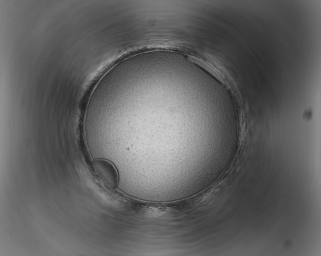 X0000116640346200912291600