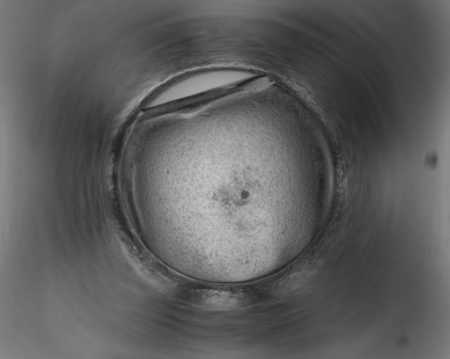 X0000116640347200912291600