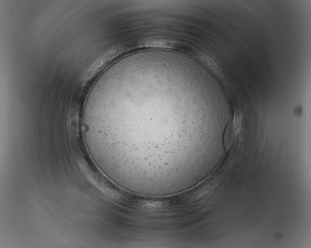 X0000116640349200912291600