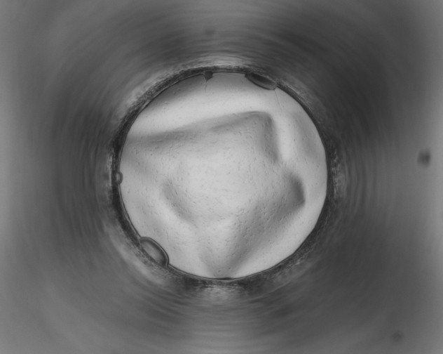 X0000116640350200912291600