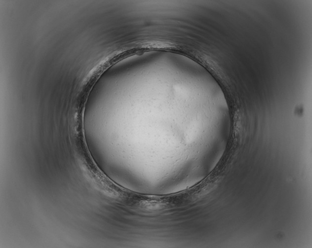 X0000116640351200912291600