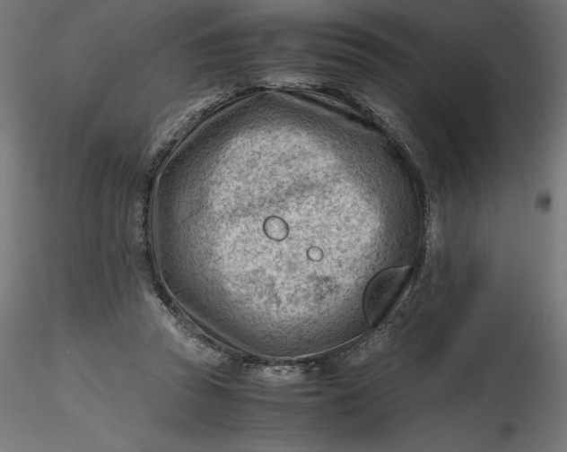 X0000116640353200912291600