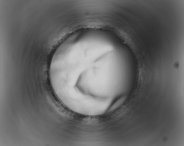 X0000116640354200912291600