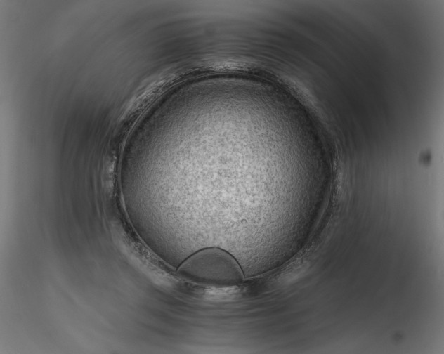 X0000116640357200912291600