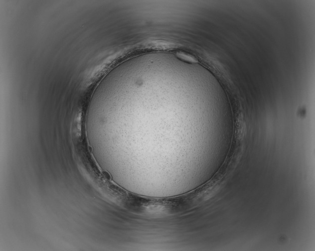 X0000116640358200912291600