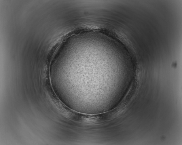 X0000116640359200912291600