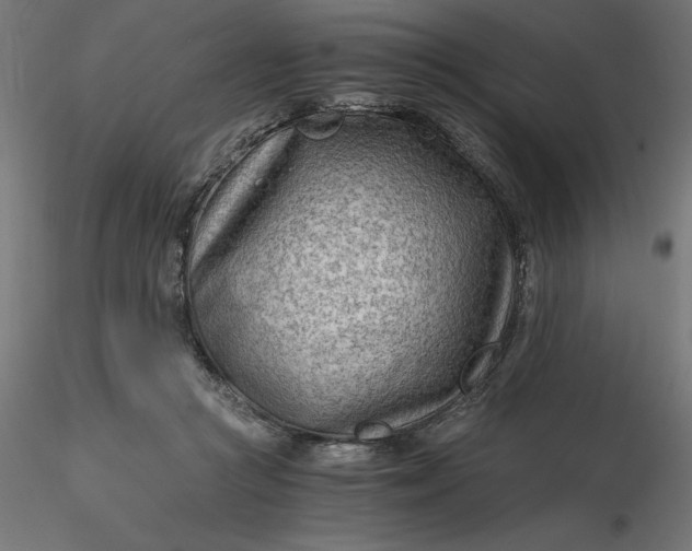 X0000116640361200912291600