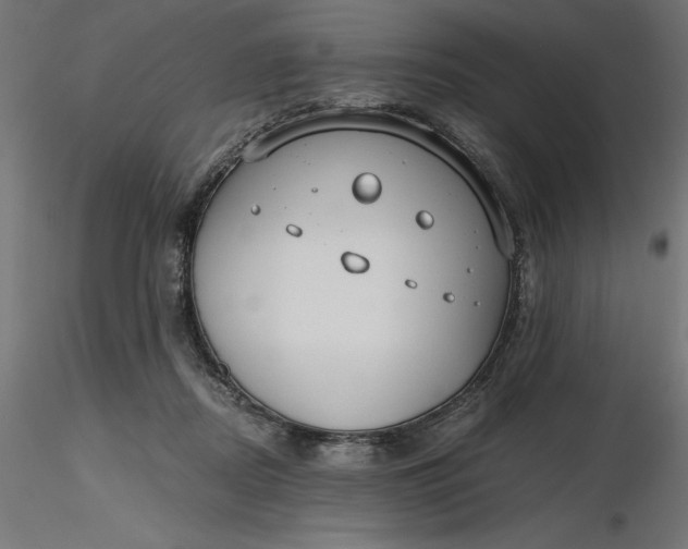 X0000116640362200912291600