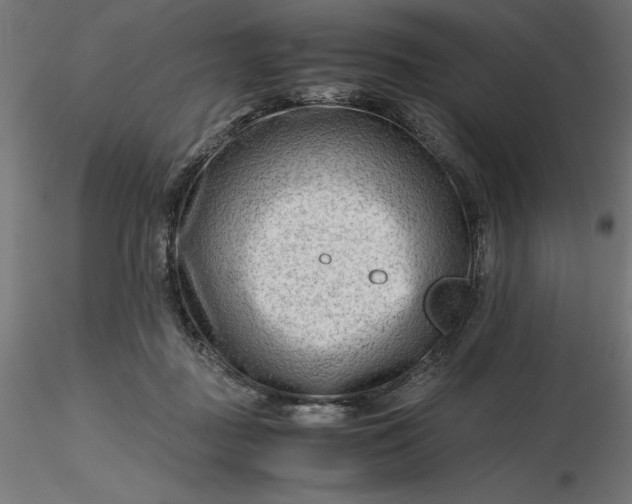 X0000116640363200912291600