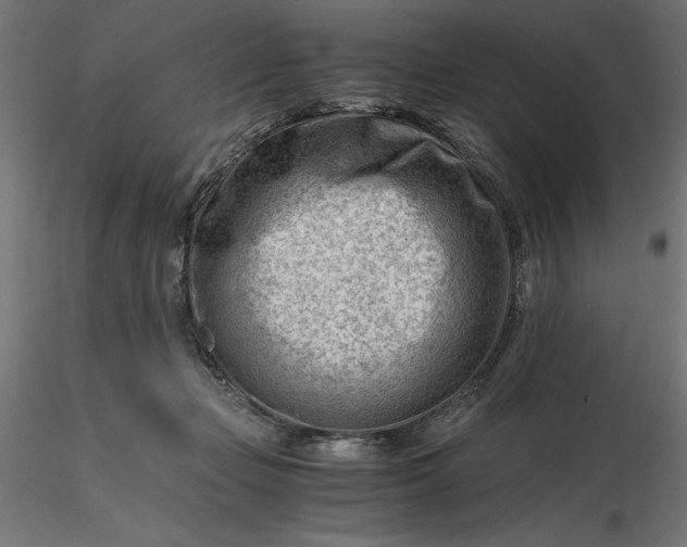 X0000116640365200912291600