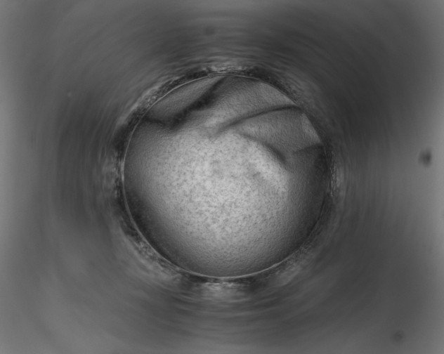 X0000116640367200912291600