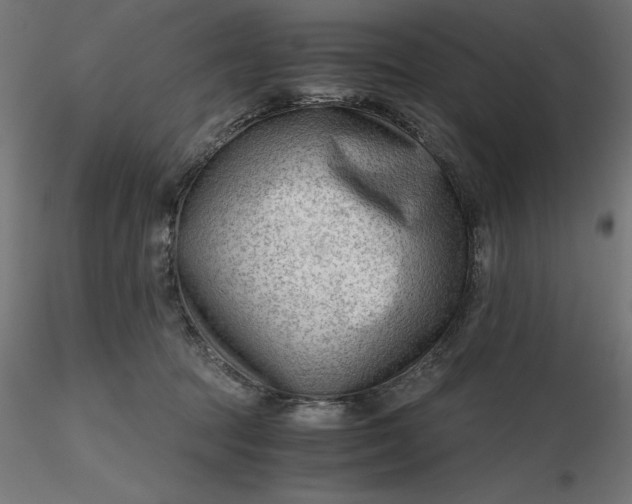 X0000116640369200912291600