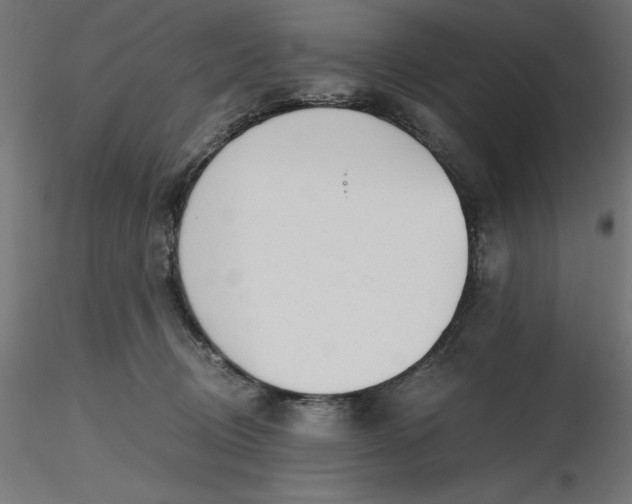 X0000116640370200912291600