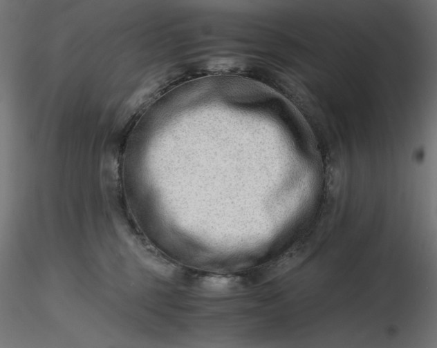 X0000116640375200912291600