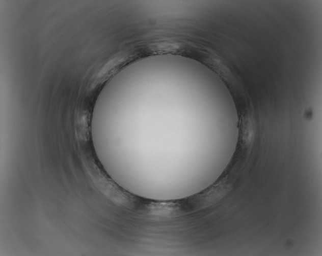 X0000116640378200912291600