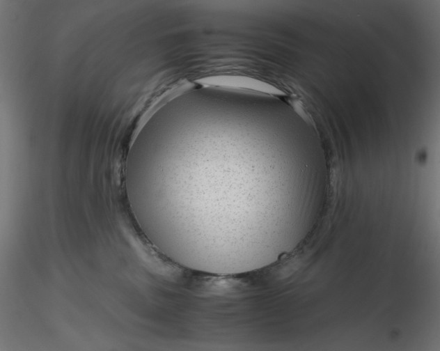 X0000116640379200912291600