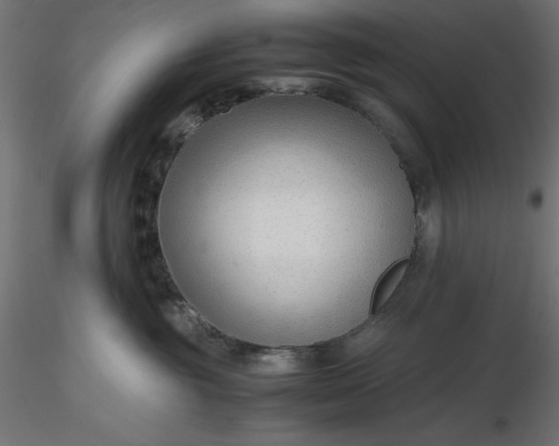 X0000116640381200912291600