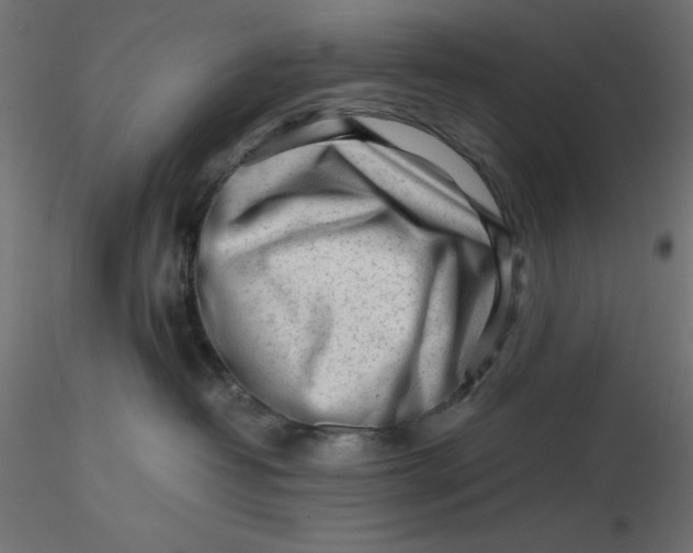 X0000116640382200912291600