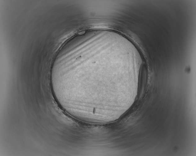 X0000116640385200912291600