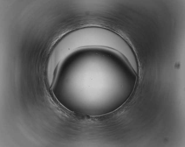 X0000116640386200912291600