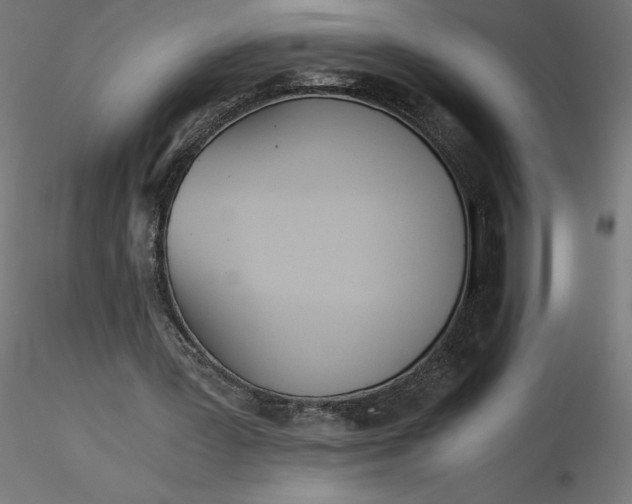 X0000116640387200912291600