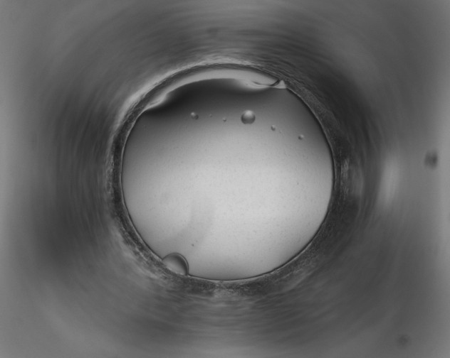 X0000116640388200912291600