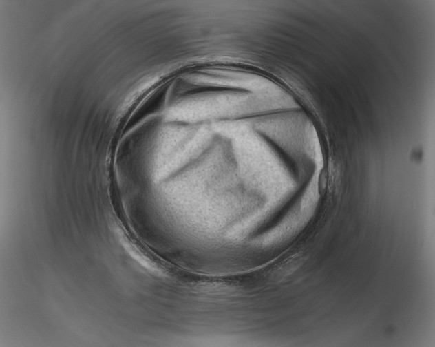 X0000116640389200912291600