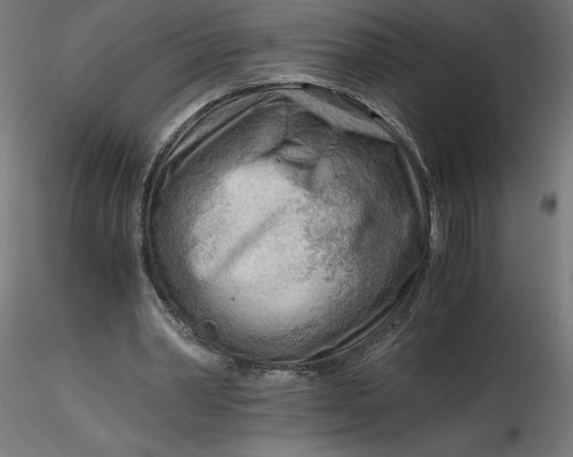 X0000116640390200912291600