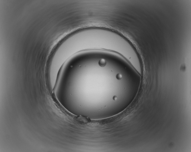 X0000116640391200912291600