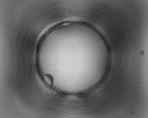 X0000116640392200912291600