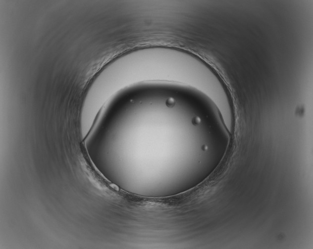 X0000116640393200912291559