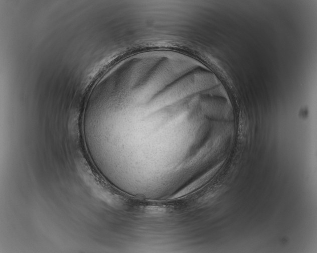 X0000116640394200912291559